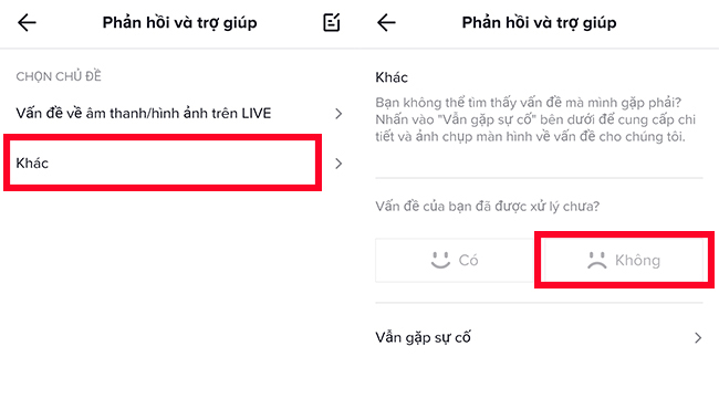 livestream tren tiktok viet nam