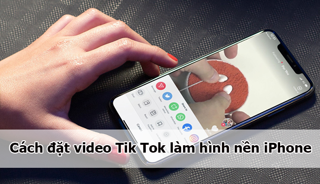 Cách đặt video Tik Tok làm hình nền iPhone