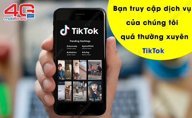 bạn có thể truy cập các dịch vụ của chúng tôi qua tiktok