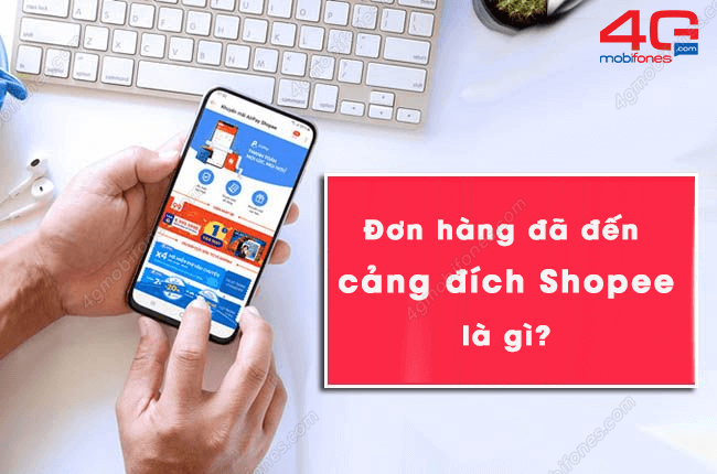 don hang da den cang dich shopee