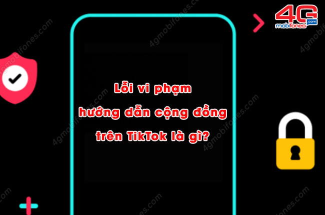 loi vi pham huong dan cong dong tren tiktok la gi